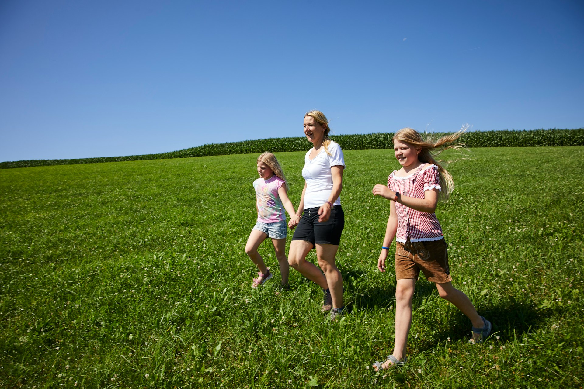 Grüne Wiese im Sonnenlicht